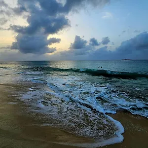 O'filao Grand-Bourg (Marie Galante)